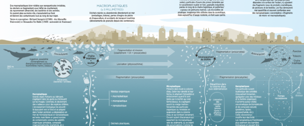 Plastiques en mer